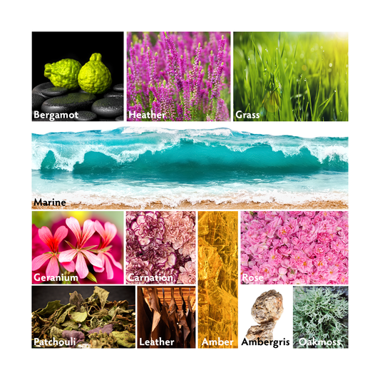 Amber Blue Scent Pyramid | RHR Luxury Home Fragrance