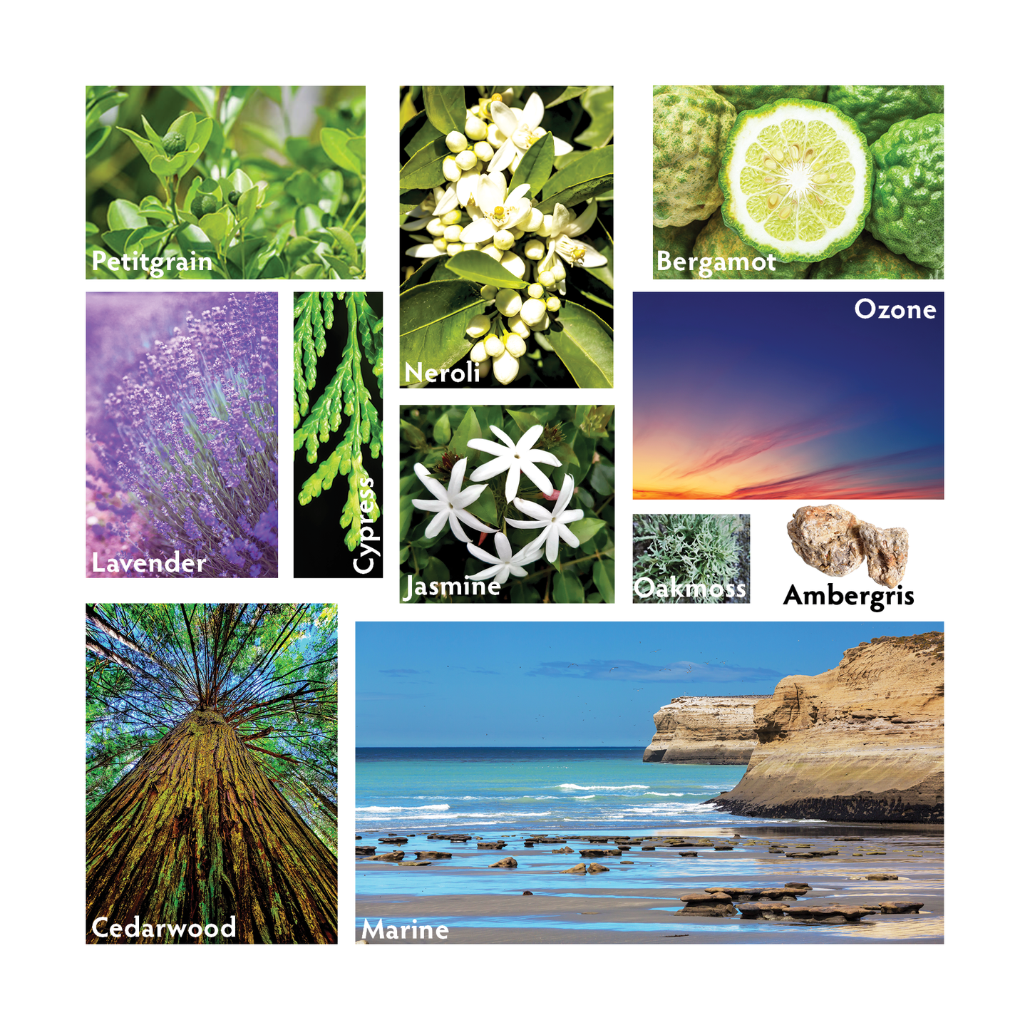 Atlántico Travel Room Spray Ingredients - RHR Luxury Home Fragrance