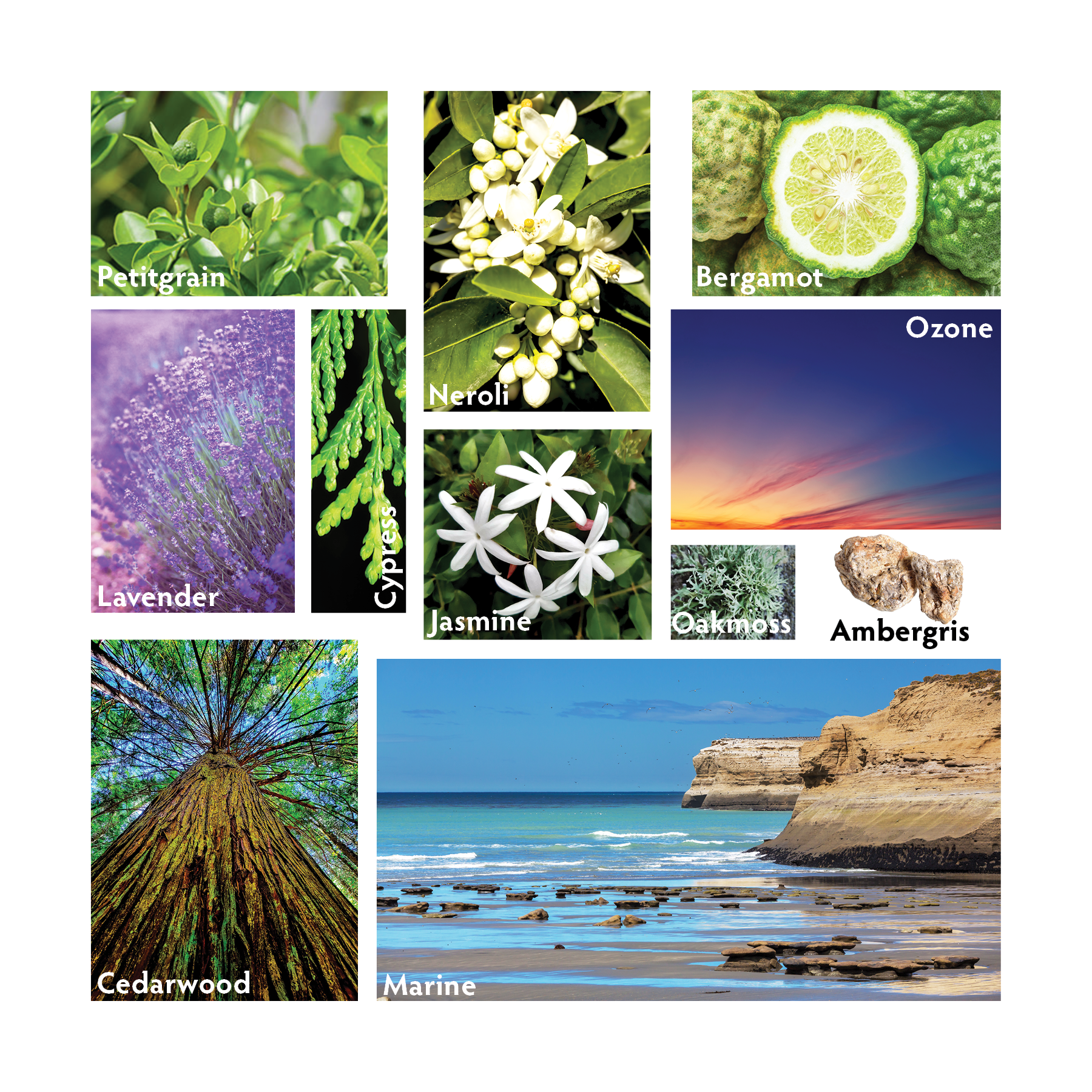 Atlántico Travel Room Spray Ingredients - RHR Luxury Home Fragrance
