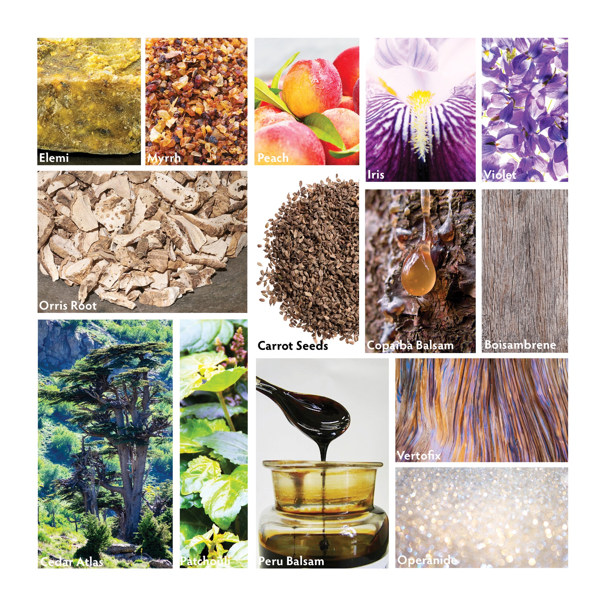 Iris Nomad - RHR Luxury Home Fragrance