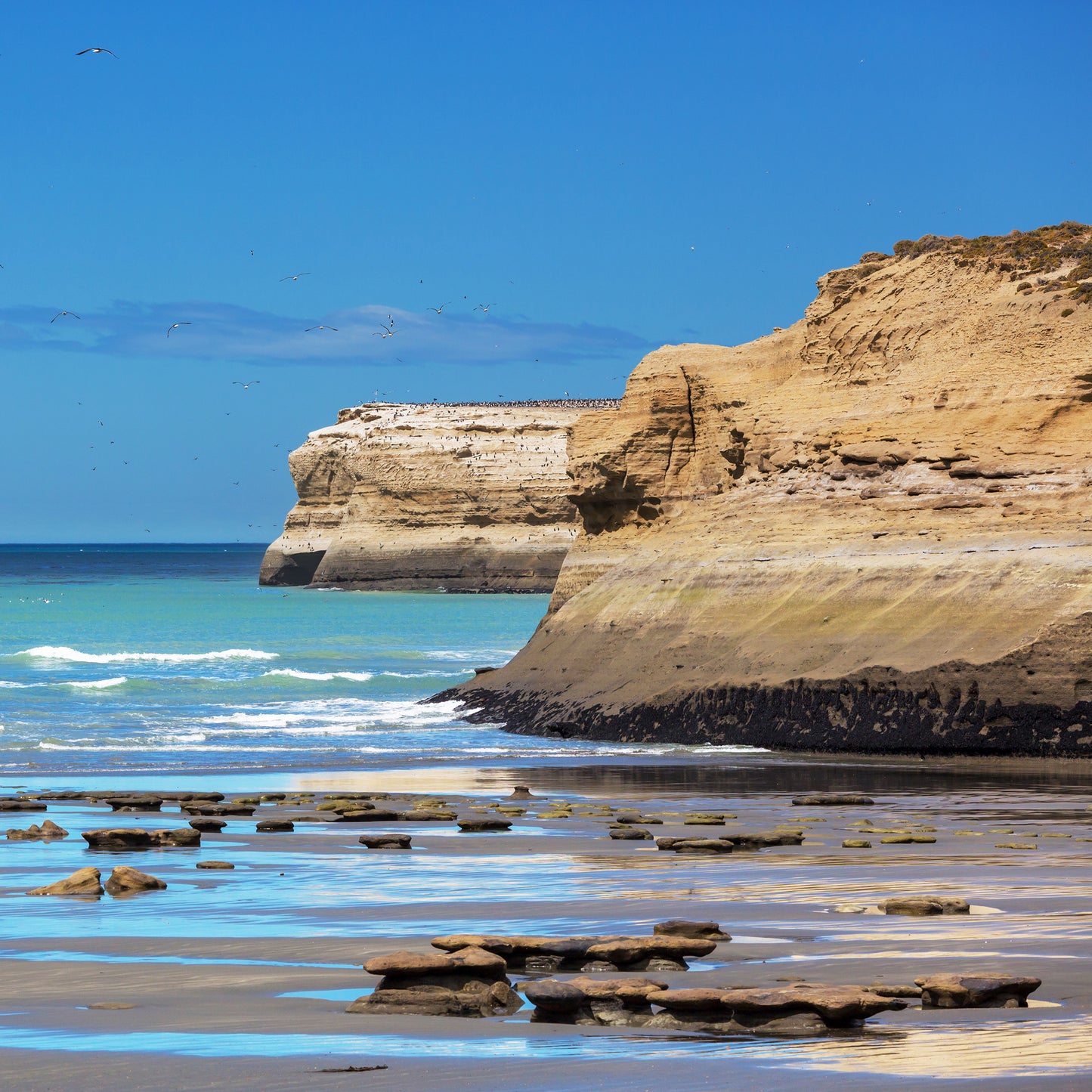Patagonia Seashore Image | RHR Luxury Home Fragrance