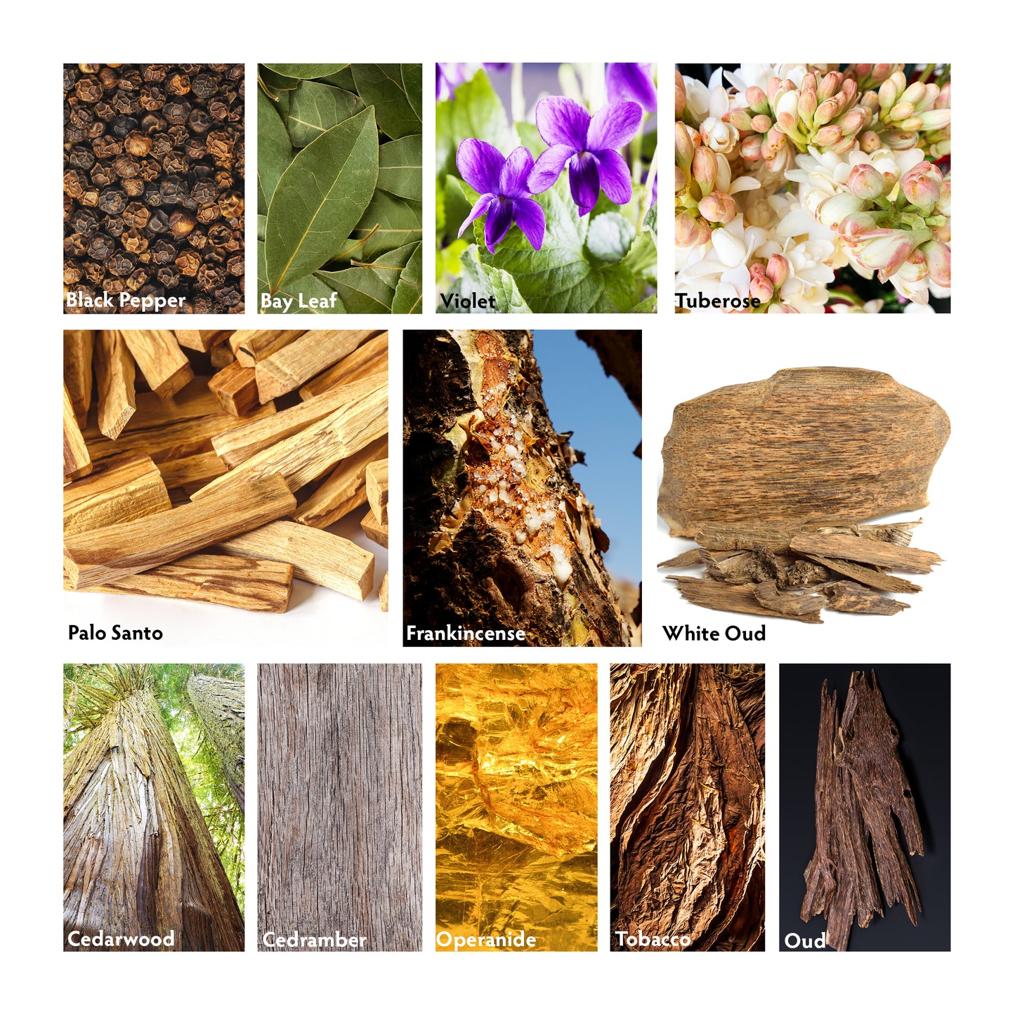 Palo Santo Luxury Candle Ingredients - RHR Luxury Home Fragrance